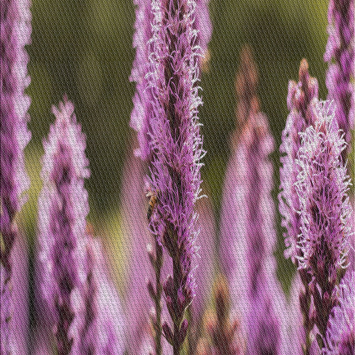 Machine Washable Transitional Velvet Maroon Purple Rug, wshpat2100