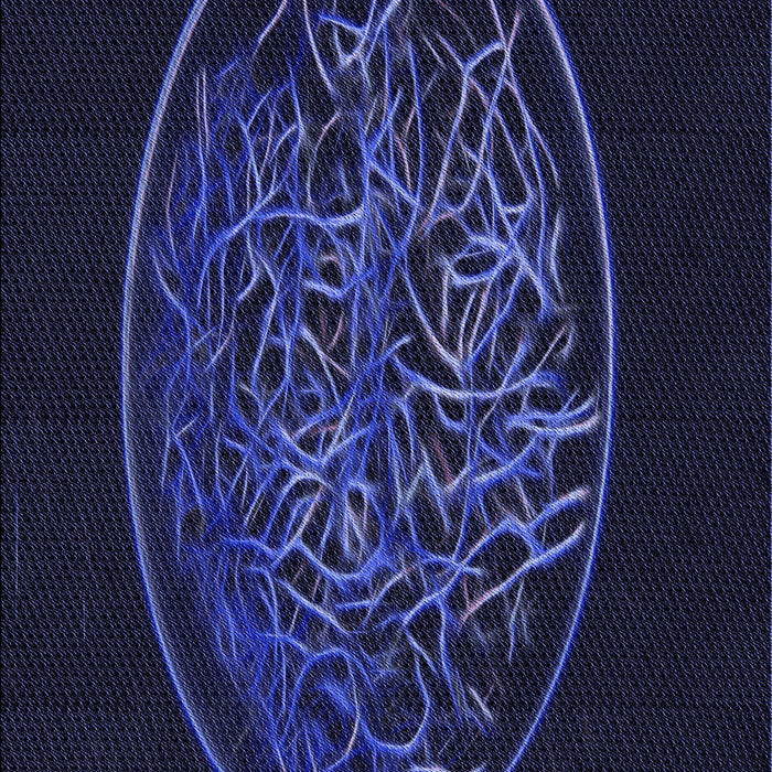 Patterned Night Blue Rug, pat2103blu