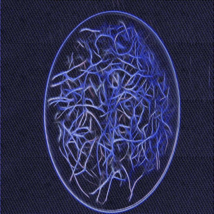 Round Machine Washable Transitional Night Blue Rug, wshpat2103blu