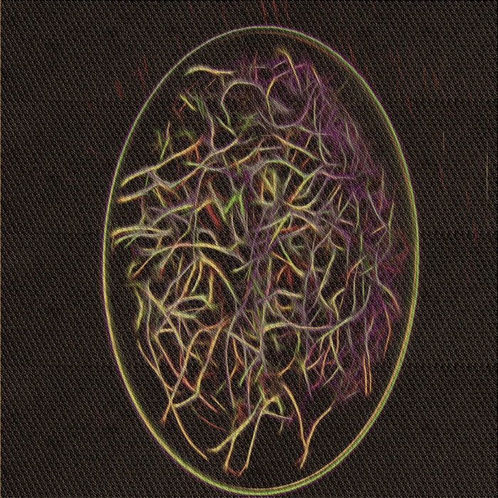 Round Machine Washable Transitional Dark Brown Rug, wshpat2103brn