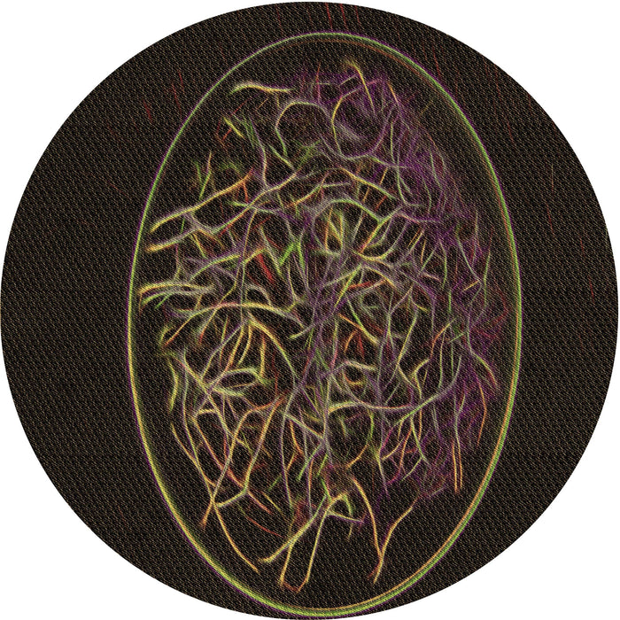 Square Patterned Dark Brown Rug, pat2103brn