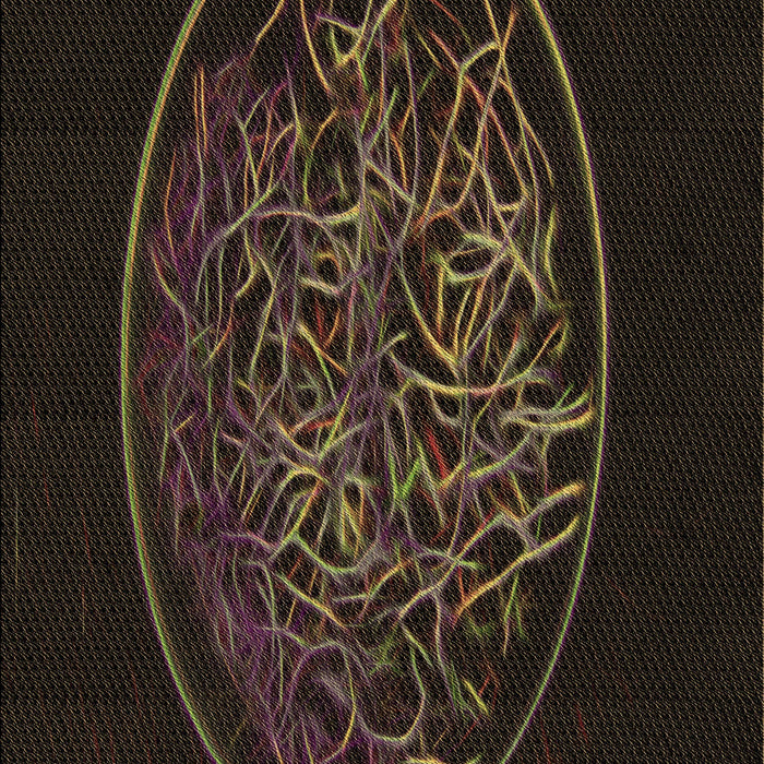 Patterned Dark Brown Rug, pat2103brn