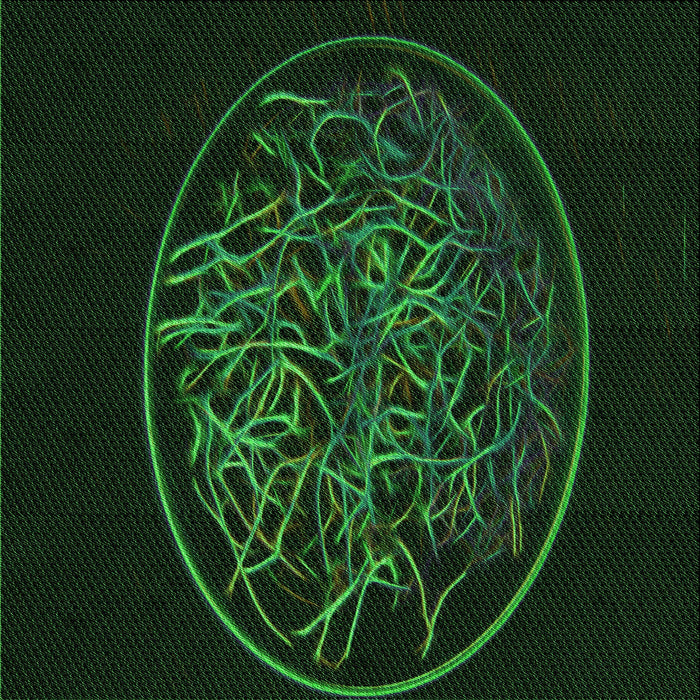 Round Patterned Green Rug, pat2103grn