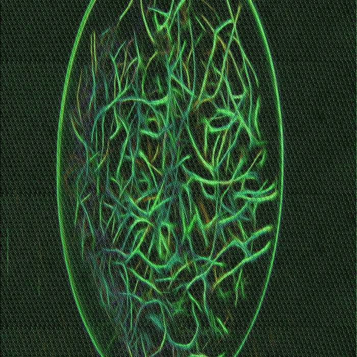 Patterned Green Rug, pat2103grn