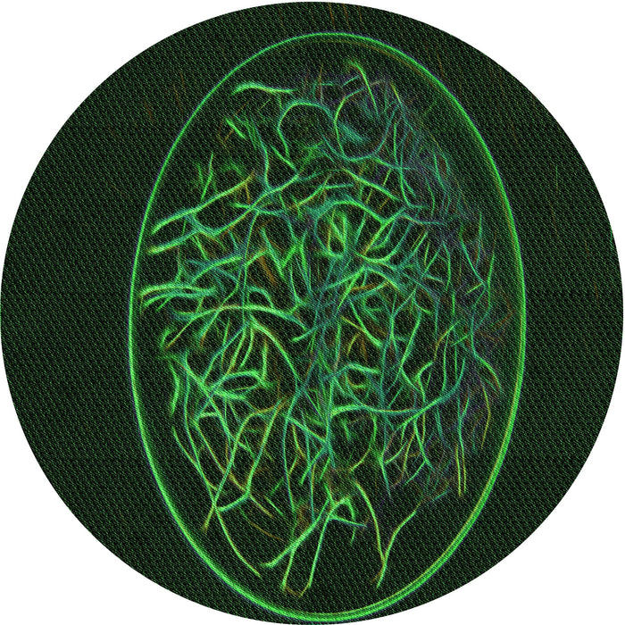 Square Patterned Green Rug, pat2103grn