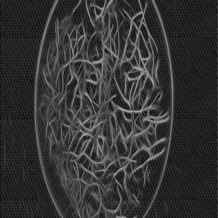 Machine Washable Transitional Black Rug, wshpat2103gry