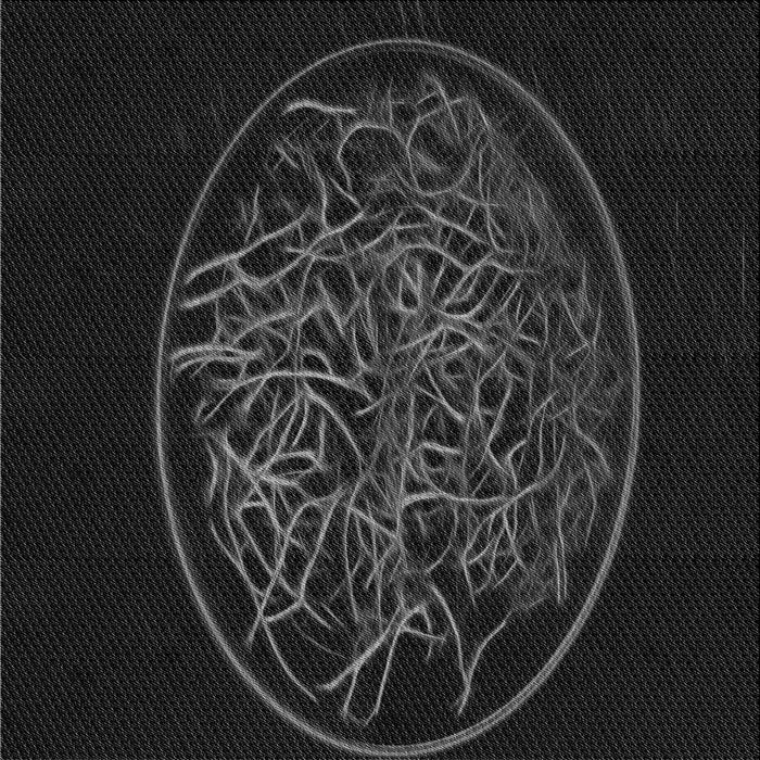 Round Machine Washable Transitional Black Rug, wshpat2103gry