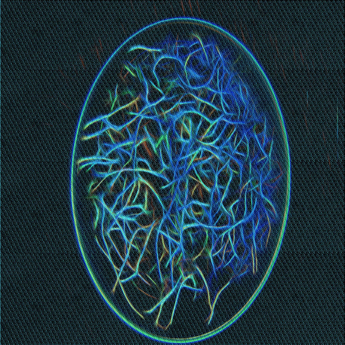 Round Patterned Teal Green Rug, pat2103lblu