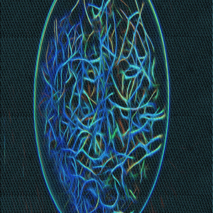 Patterned Teal Green Rug, pat2103lblu