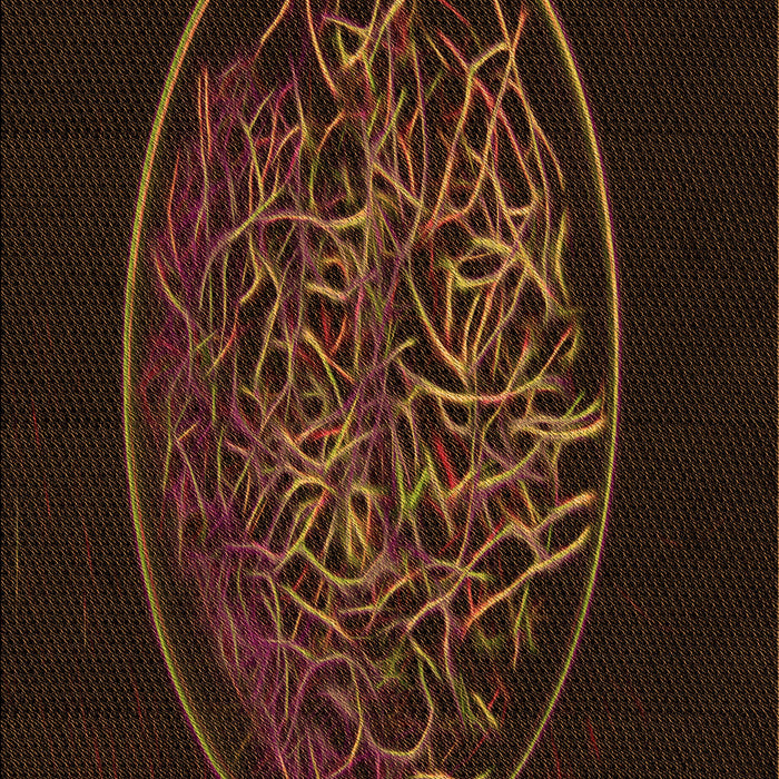 Machine Washable Transitional Saddle Brown Rug, wshpat2103org