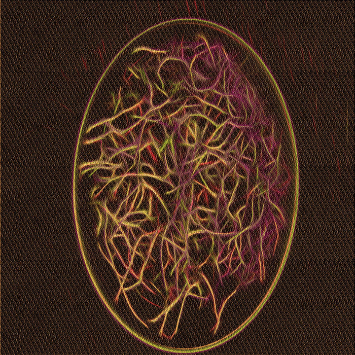 Round Patterned Saddle Brown Rug, pat2103org