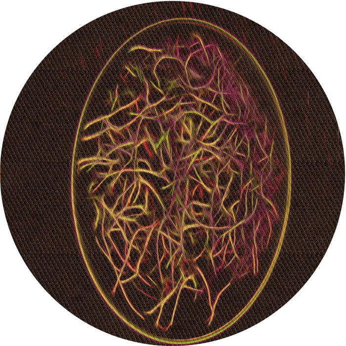 Square Machine Washable Transitional Saddle Brown Rug in a Living Room, wshpat2103org