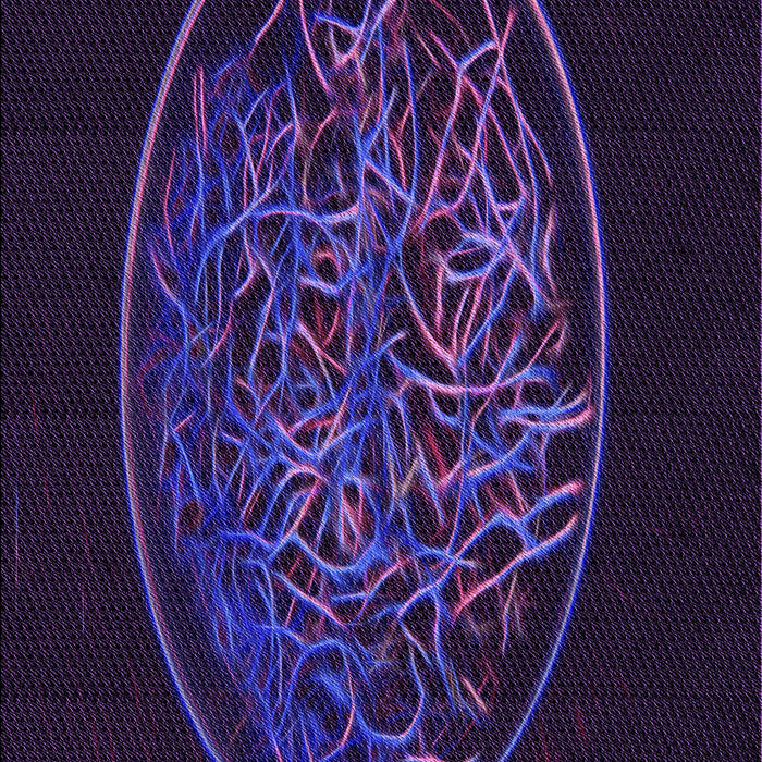 Machine Washable Transitional Deep Purple Rug, wshpat2103pur