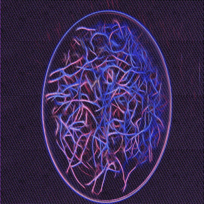 Round Machine Washable Transitional Deep Purple Rug, wshpat2103pur