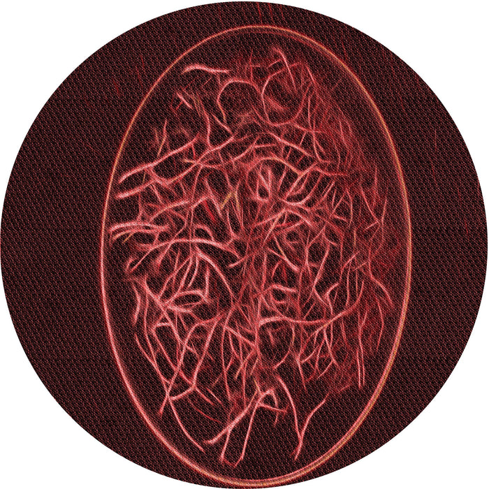 Square Machine Washable Transitional Fire Brick Red Rug in a Living Room, wshpat2103rd