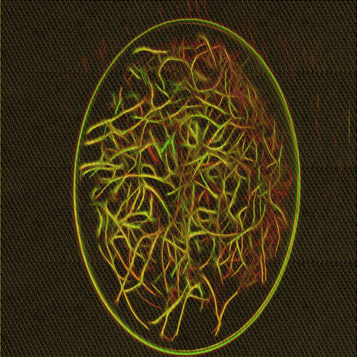 Round Machine Washable Transitional Dark Bronze Brown Rug, wshpat2103yw