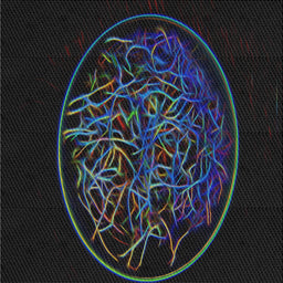 Sideview of Machine Washable Transitional Black Rug, wshpat2103