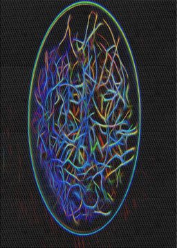 Machine Washable Transitional Black Rug, wshpat2103