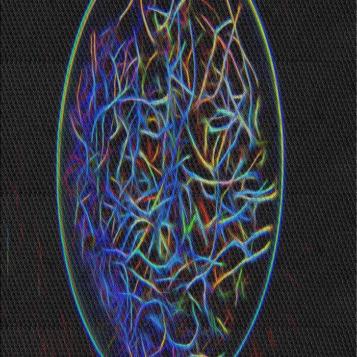 Patterned Black Novelty Rug, pat2103