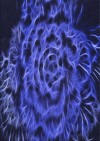 Machine Washable Transitional Denim Dark Blue Rug, wshpat2104blu