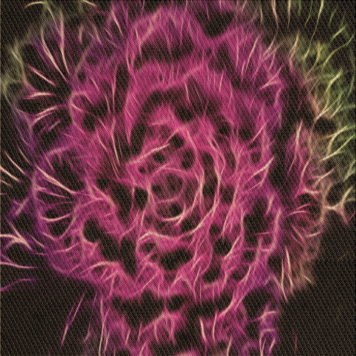 Round Machine Washable Transitional Chestnut Brown Rug, wshpat2104brn