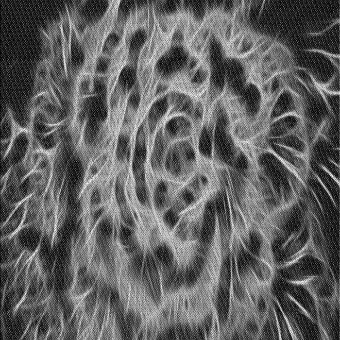 Patterned Charcoal Black Rug, pat2104gry