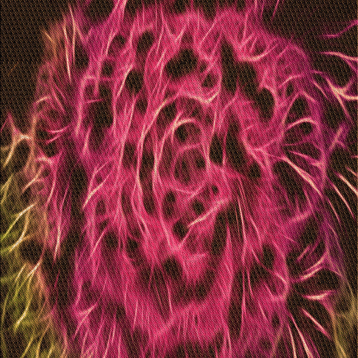 Machine Washable Transitional Brown Red Rug, wshpat2104org