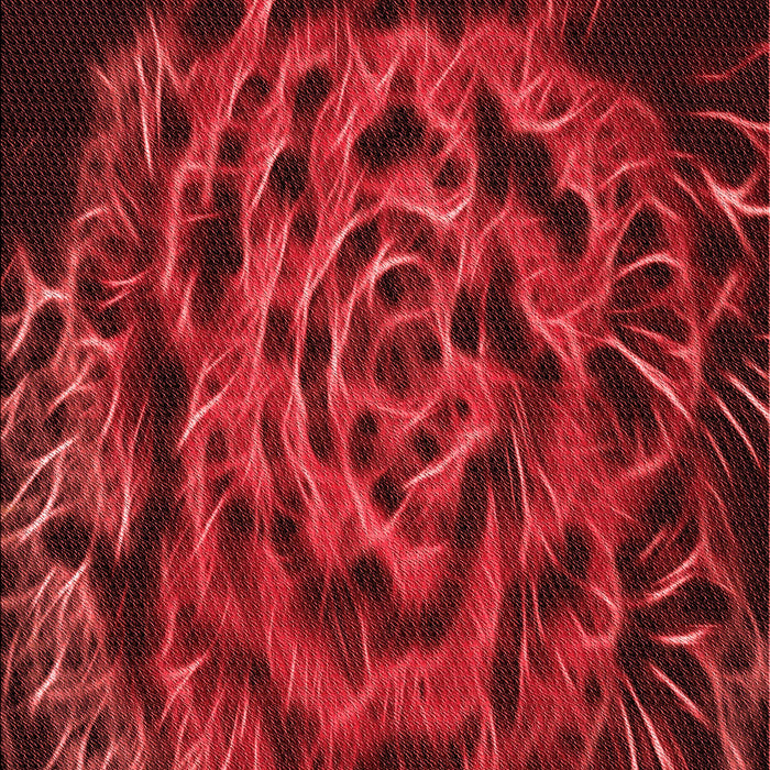 Patterned Tomato Red Rug, pat2104rd