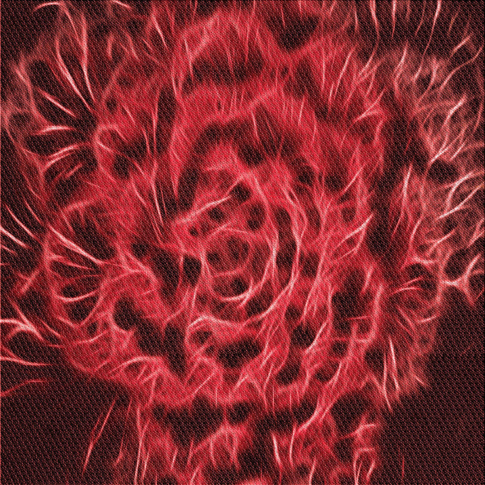 Round Machine Washable Transitional Tomato Red Rug, wshpat2104rd