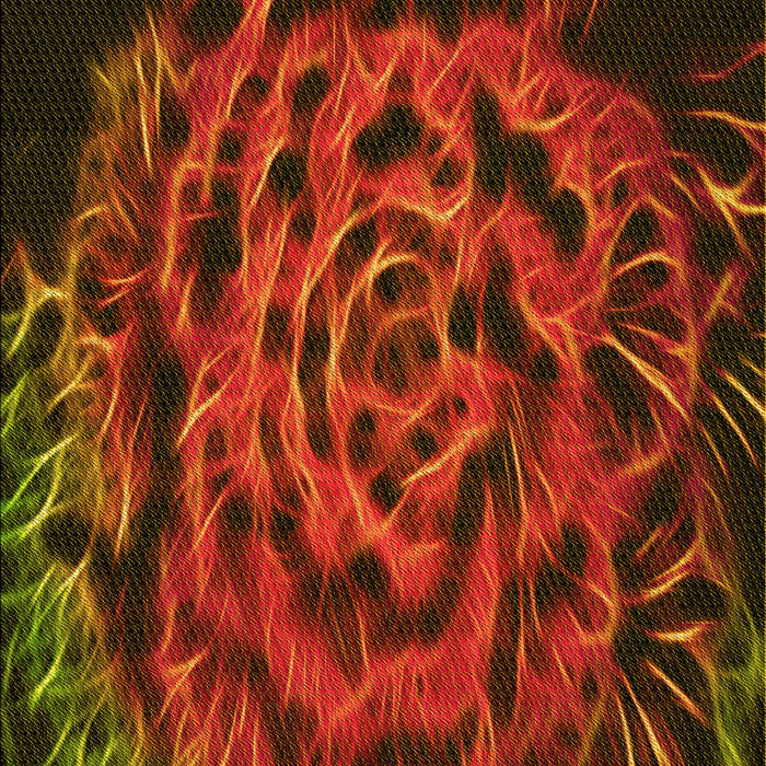 Patterned Mahogany Brown Rug, pat2104yw