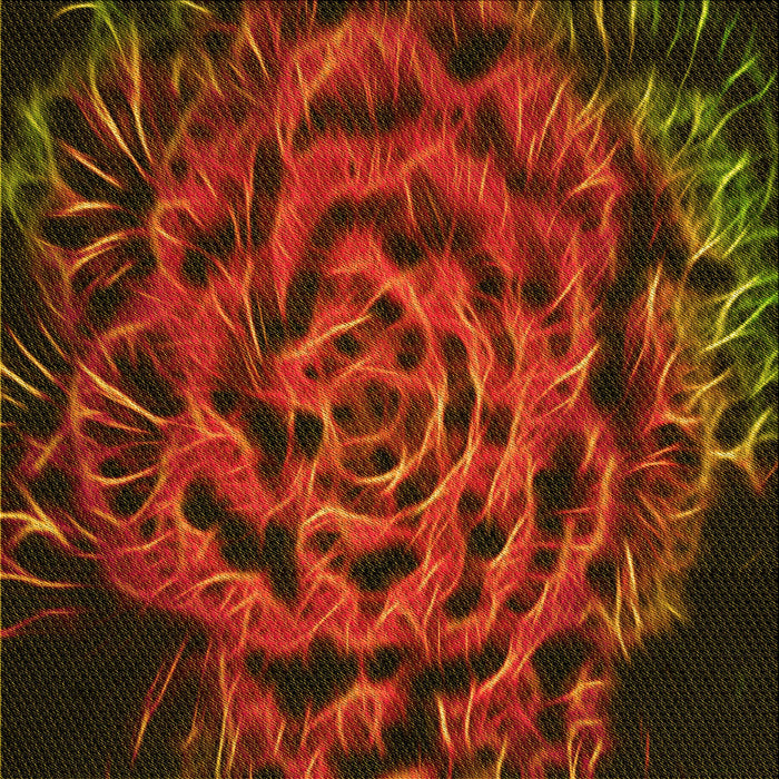 Round Machine Washable Transitional Mahogany Brown Rug, wshpat2104yw