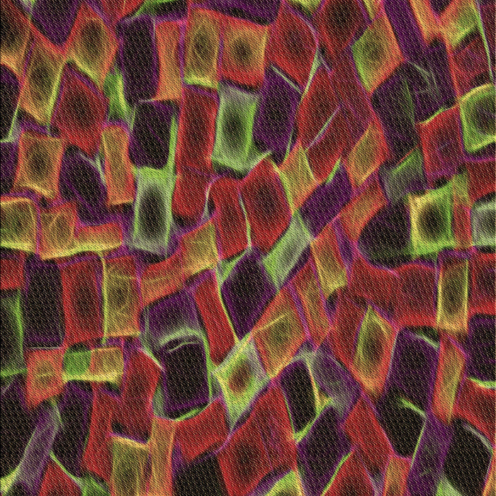 Machine Washable Transitional Sienna Brown Rug, wshpat2105brn