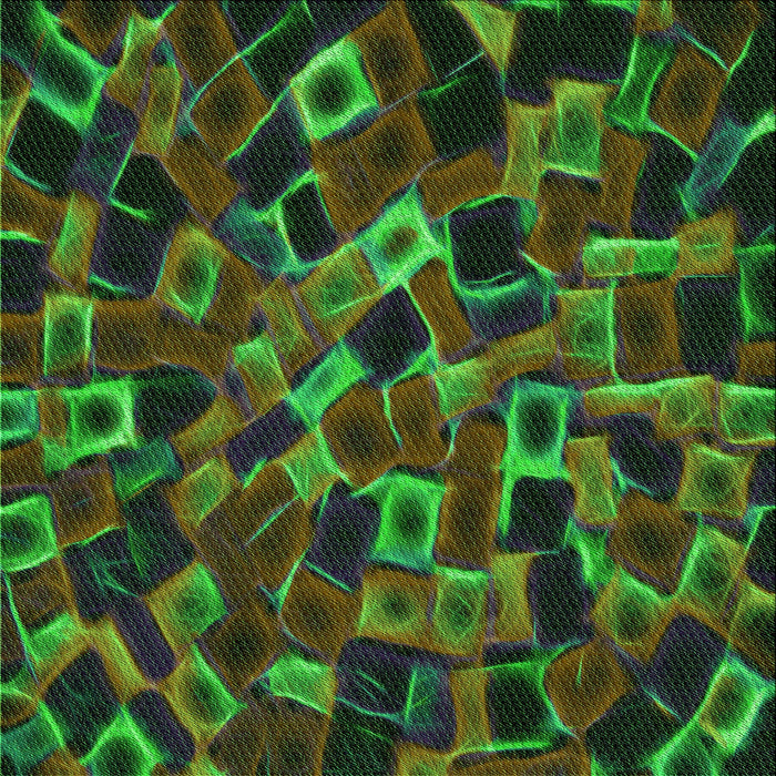 Round Machine Washable Transitional Dark Lime Green Rug, wshpat2105grn