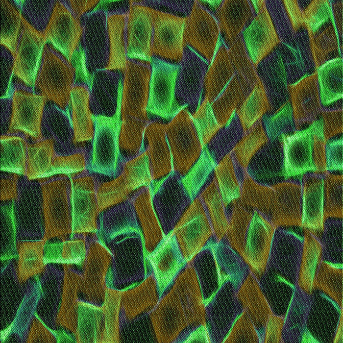 Patterned Dark Lime Green Rug, pat2105grn