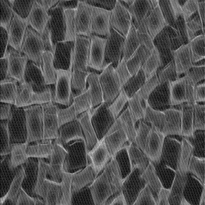 Patterned Charcoal Black Rug, pat2105gry