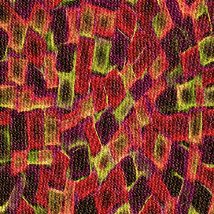 Patterned Cranberry Red Rug, pat2105org