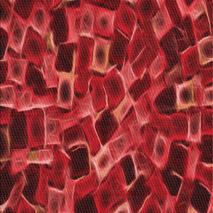 Patterned Red Rug, pat2105rd