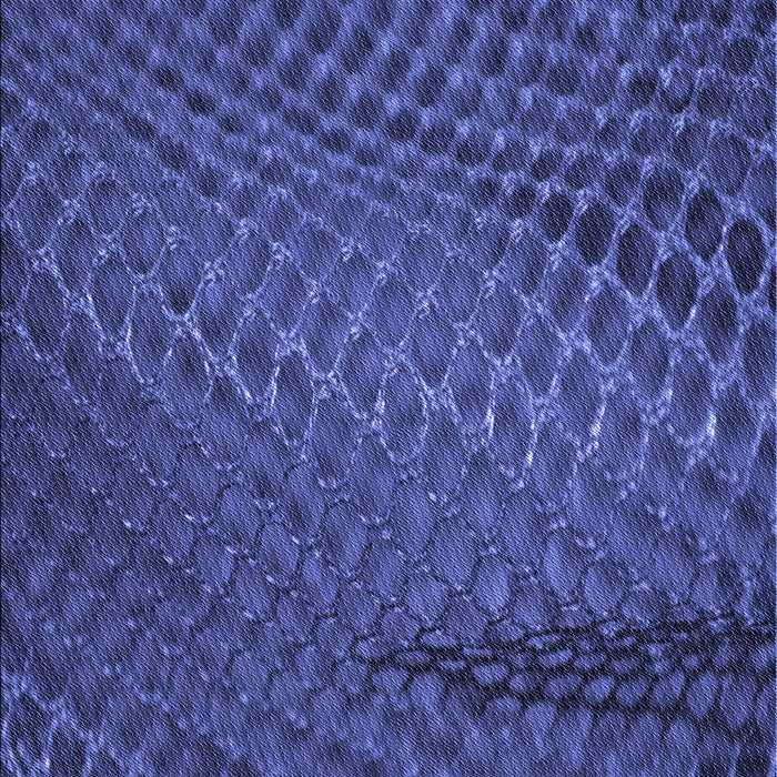 Patterned Denim Dark Blue Rug, pat2106blu