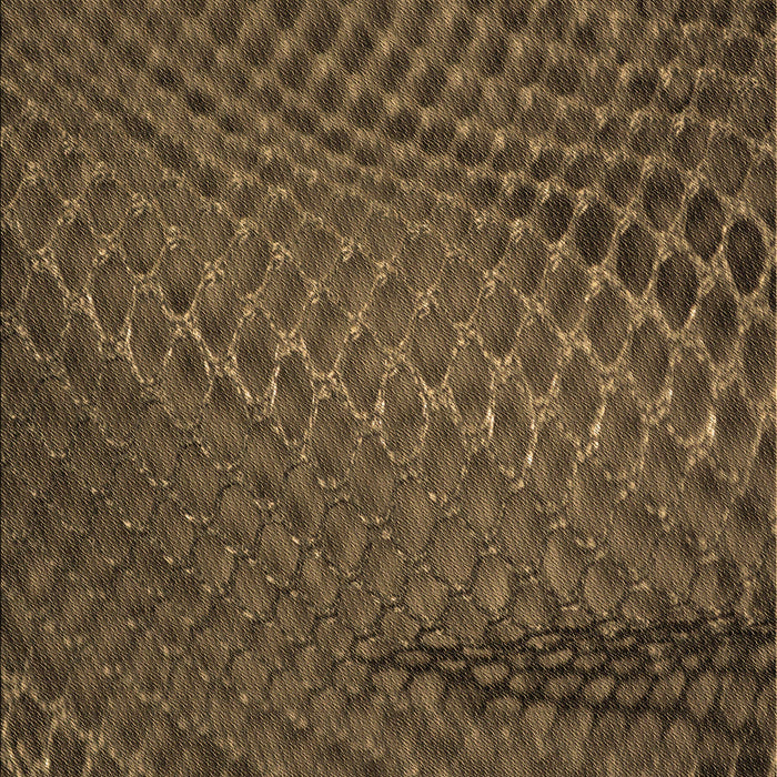 Patterned Light Brown Rug, pat2106brn