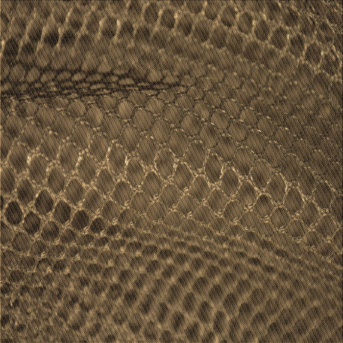 Round Machine Washable Transitional Light Brown Rug, wshpat2106brn