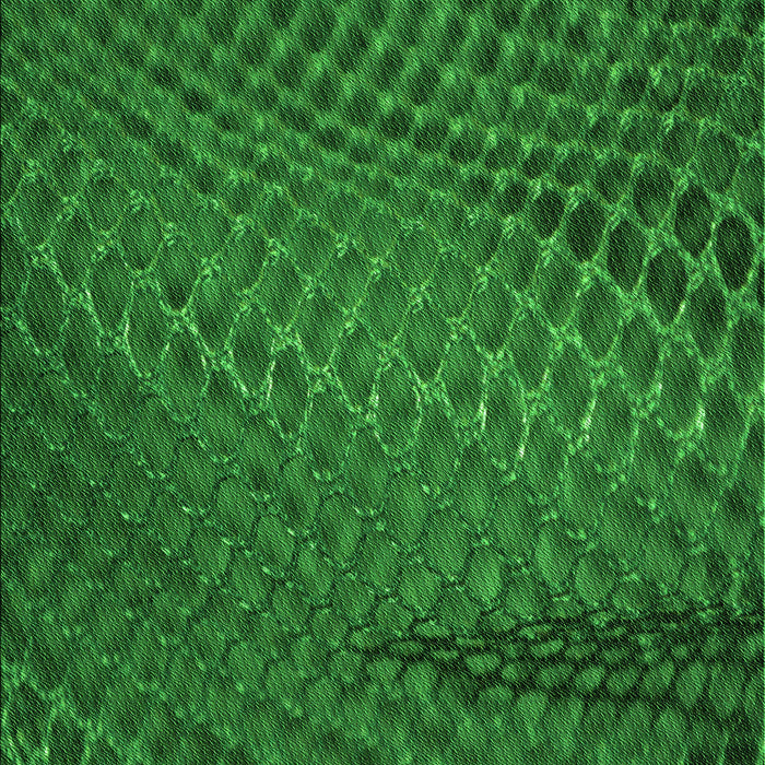 Patterned Deep Emerald Green Rug, pat2106grn