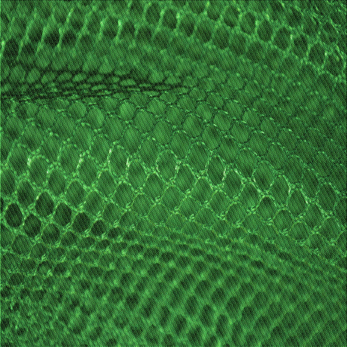 Round Machine Washable Transitional Deep Emerald Green Rug, wshpat2106grn