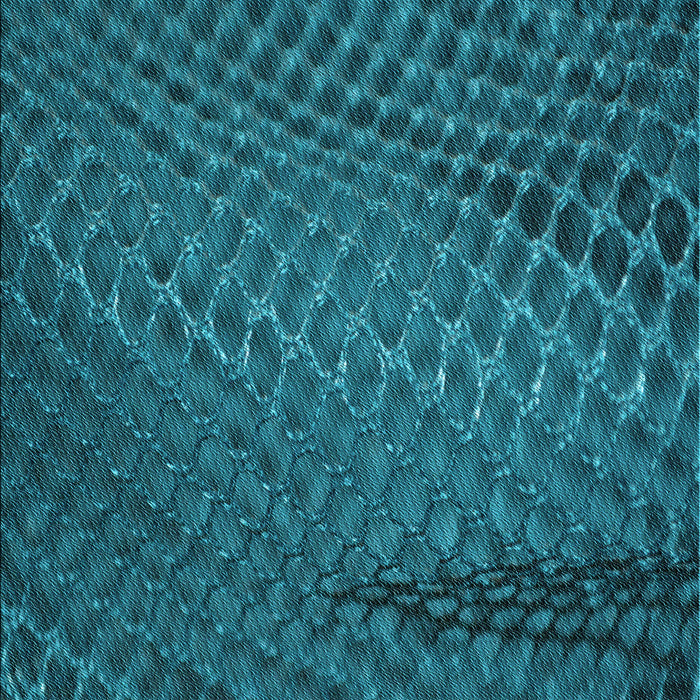 Patterned Dark Turquoise Green Rug, pat2106lblu