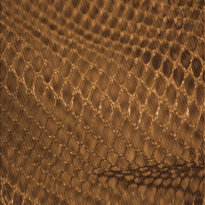 Patterned Red Brown Rug, pat2106org