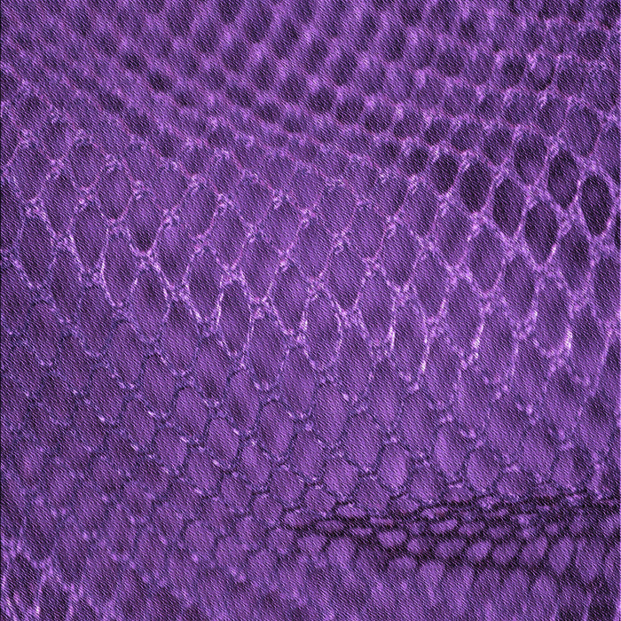 Machine Washable Transitional Bright Purple Rug, wshpat2106pur