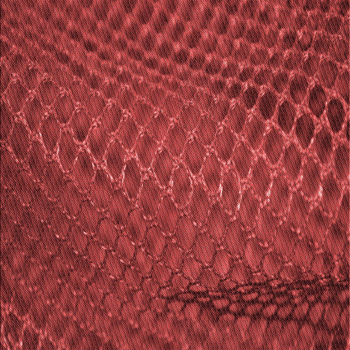 Patterned Tomato Red Rug, pat2106rd