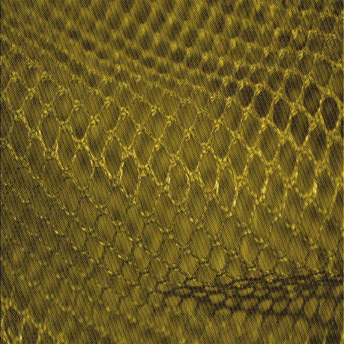 Machine Washable Transitional Bakers Brown Rug, wshpat2106yw