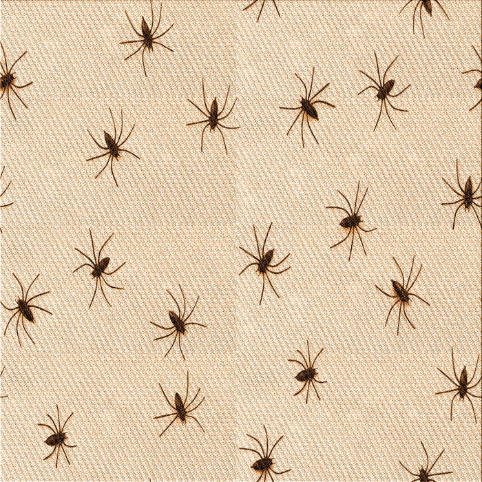 Round Machine Washable Transitional Moccasin Beige Rug, wshpat211org