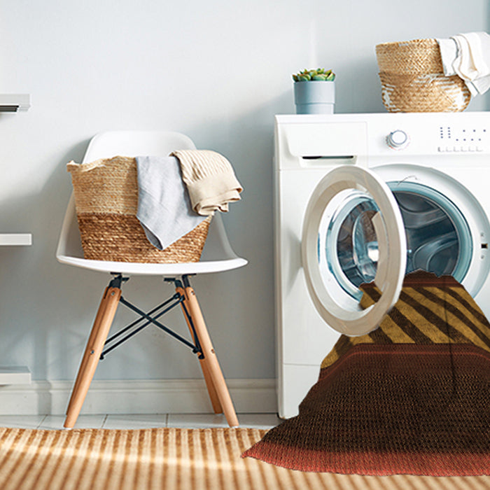 Machine Washable Transitional Mahogany Brown Rug in a Washing Machine, wshpat2110org