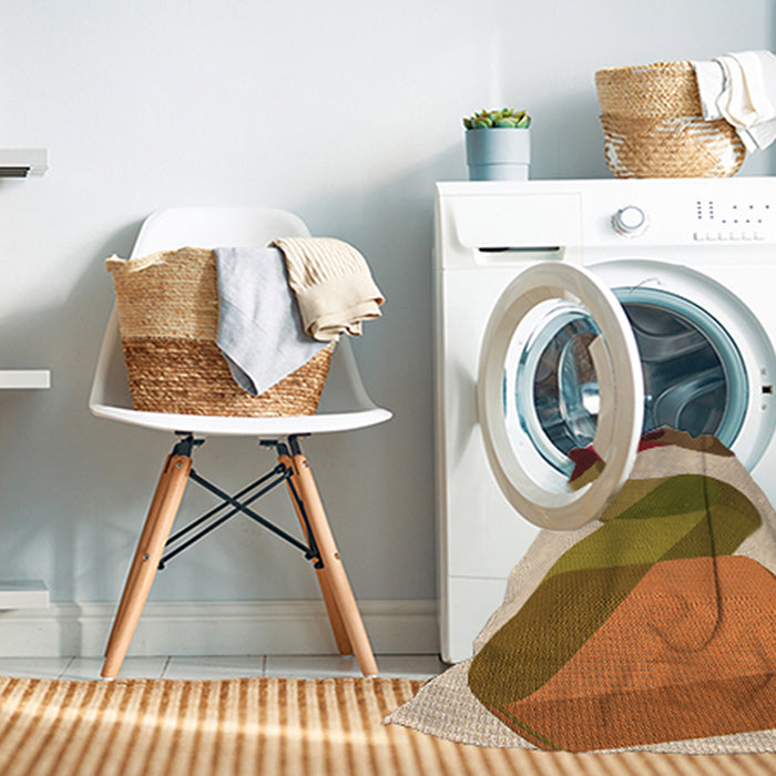 Machine Washable Transitional Mahogany Brown Rug in a Washing Machine, wshpat2114org